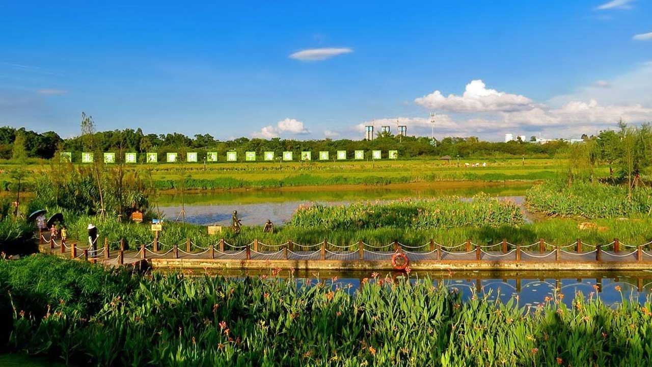 南寧市那考河濕地公園.jpg