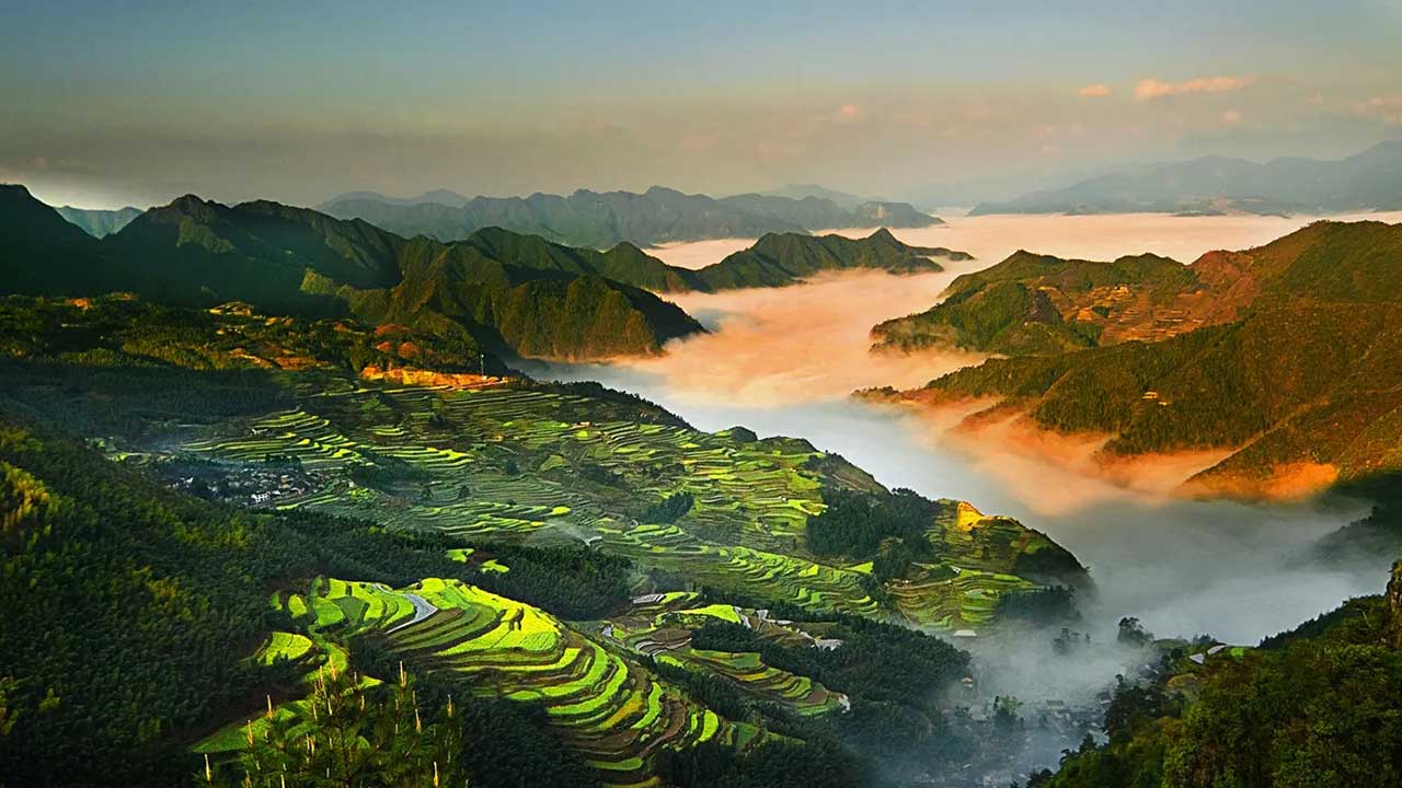 麗水遂昌.jpg
