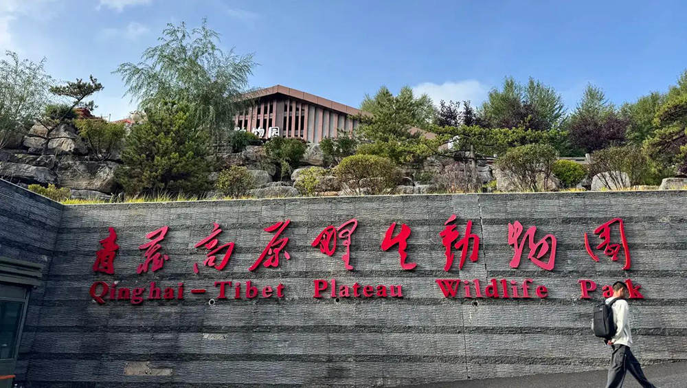 青藏高原野生動物園.jpg