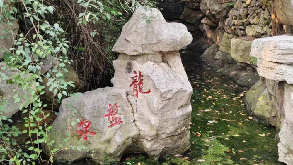 龍盤泉.jpg