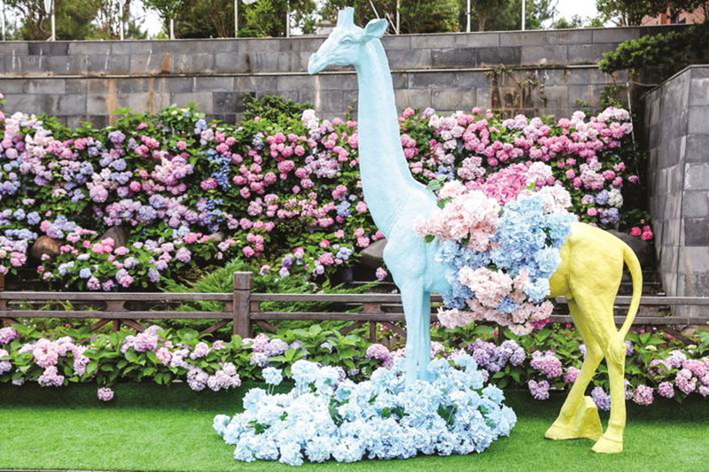 湖南：長沙縣舉行首屆繡球花文化旅游節(jié)，以文旅融合助推鄉(xiāng)村振興發(fā)展之路！