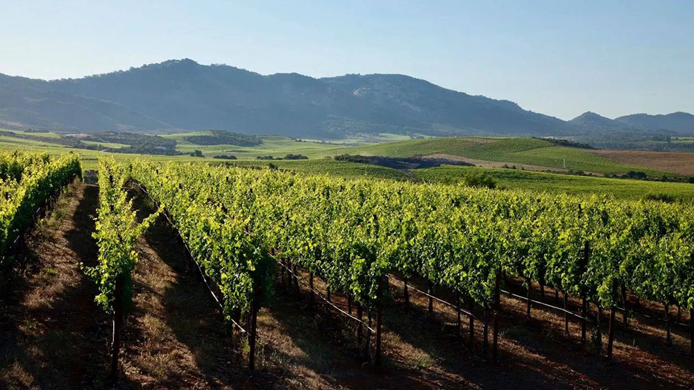 文旅動(dòng)態(tài)：寧夏文旅廳出臺(tái)實(shí)施方案，多項(xiàng)舉措加快推進(jìn)鄉(xiāng)村旅游高質(zhì)量發(fā)展！