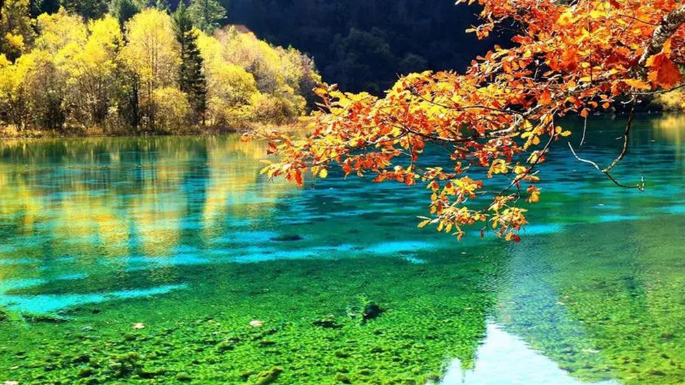 文旅：第四屆川渝文化發(fā)展合作論壇將于7月在成都召開，推動文化事業(yè)大繁榮大發(fā)展！