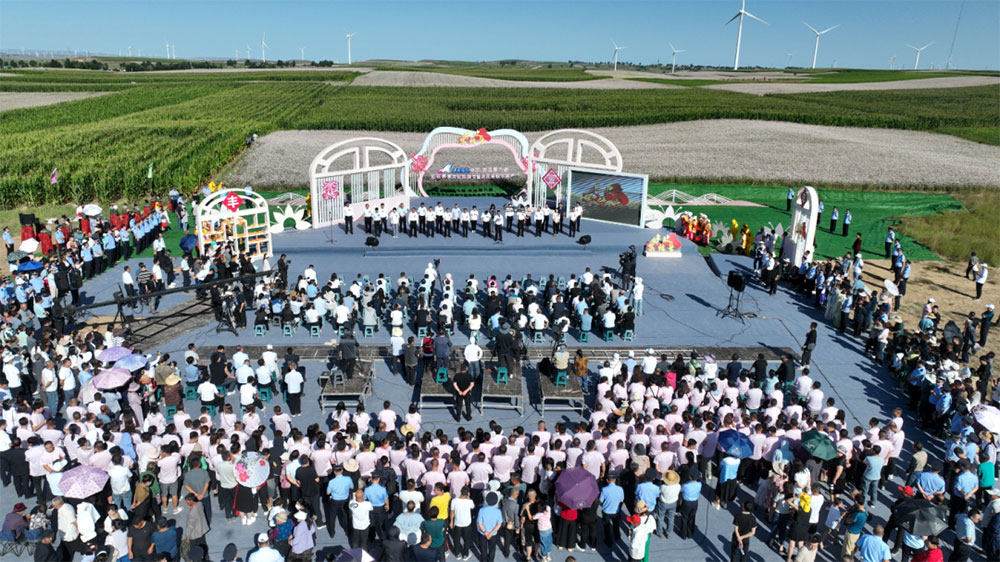 陜西：中國(guó)定邊第六屆紅花蕎麥文化旅游節(jié)開幕，探索產(chǎn)業(yè)融合發(fā)展模式，助力鄉(xiāng)村振興！