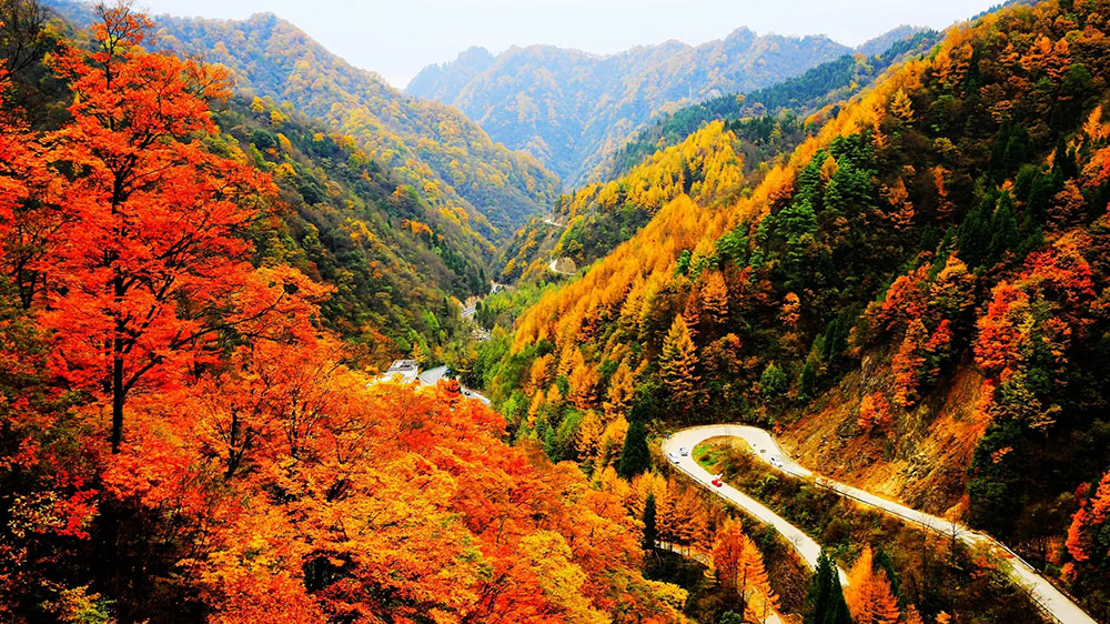 光霧山旅游區(qū) 光霧山旅游區(qū).jpg