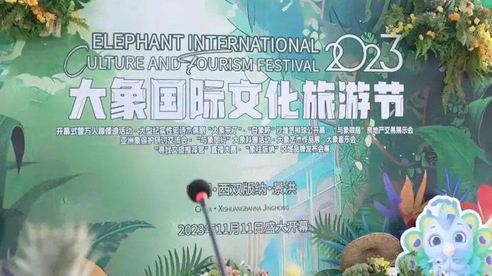 云南：景洪市首屆大象國際文化旅游節(jié)將于11日舉行，推動(dòng)文旅產(chǎn)業(yè)高質(zhì)量發(fā)展！