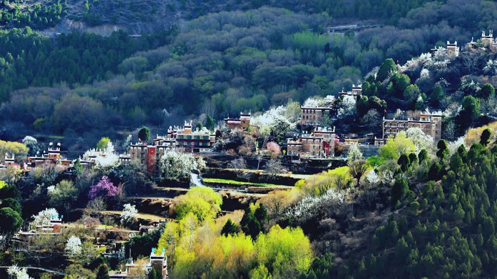 四川：“花開丹巴 為梨而來(lái)”美人谷丹巴梨花春賞季活動(dòng)即將舉辦，推出三條主題游線路！