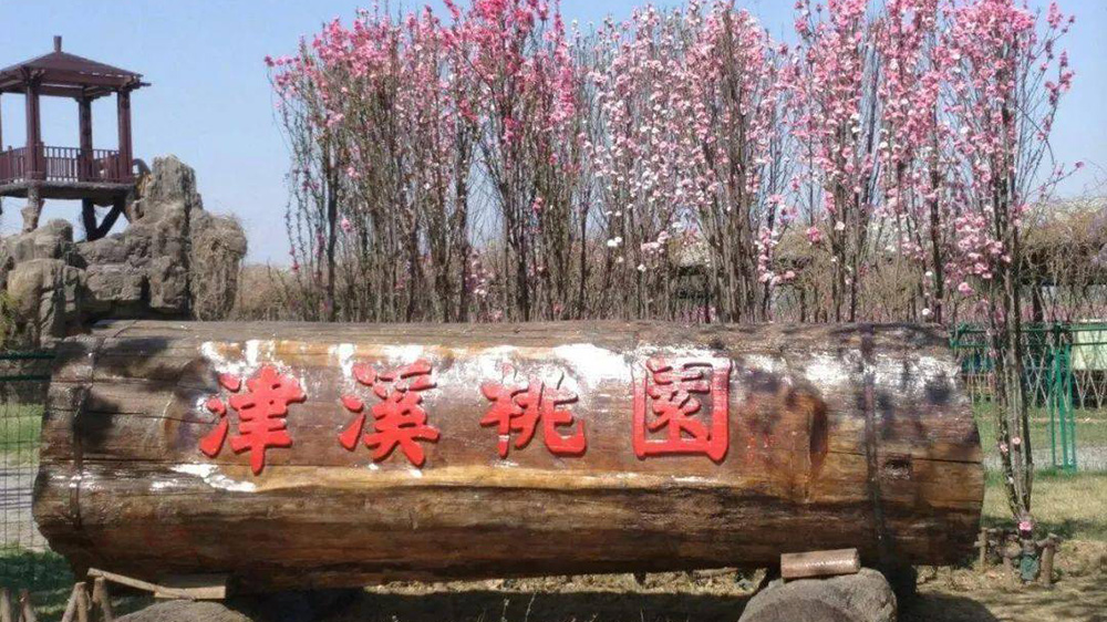 天津：第八屆津溪桃花文化節(jié)將于4月4日開幕，進(jìn)一步加強(qiáng)時(shí)尚休閑旅游城市建設(shè)！